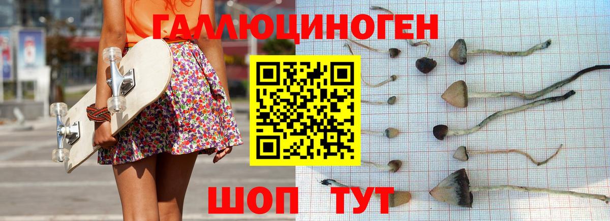 Чапаевск  наркошоп  Вход с VPN  Галлюциногенные грибы Psilocybine cubensis 